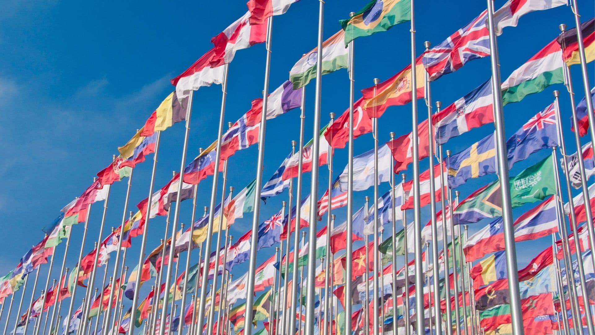 Monikielisyys: Avainasemassa tiedonkeruussa ja -jakamisessa nykypäivän globaalissa maailmassa